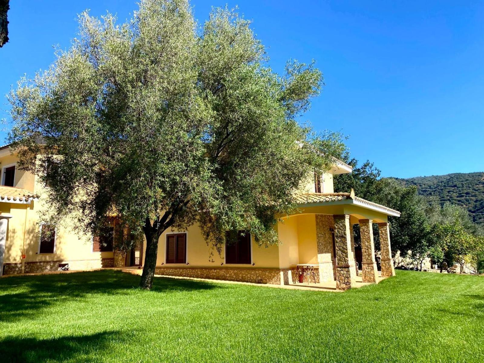 Villa With Pool Cardedu Exteriér fotografie